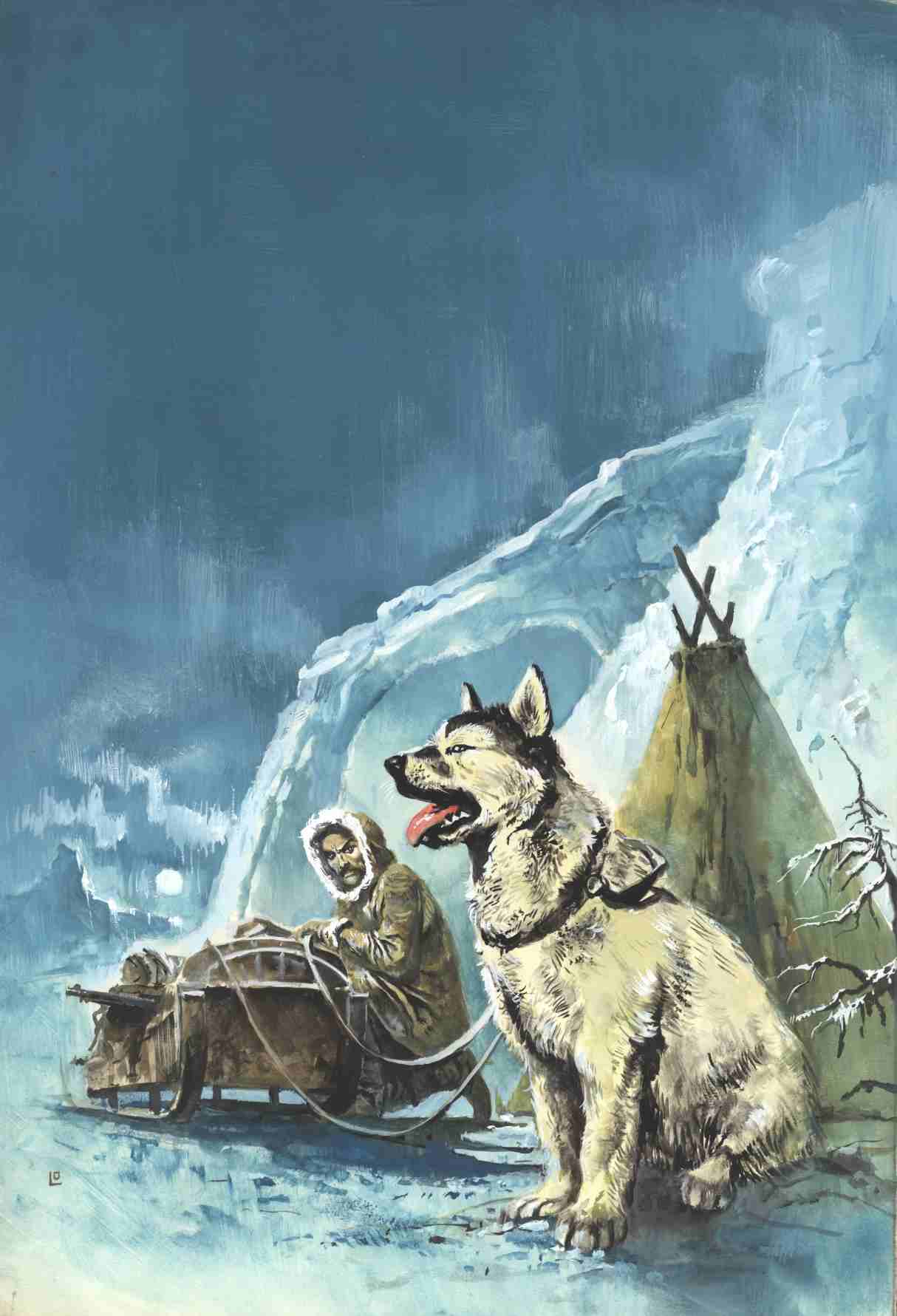 HEBEL - Schlittenhund Harras