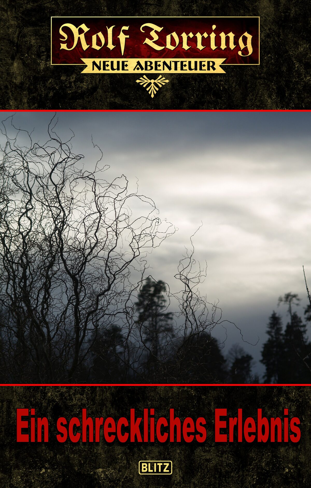 EIN SCHRECKLICHES ERLEBNIS – Band 01